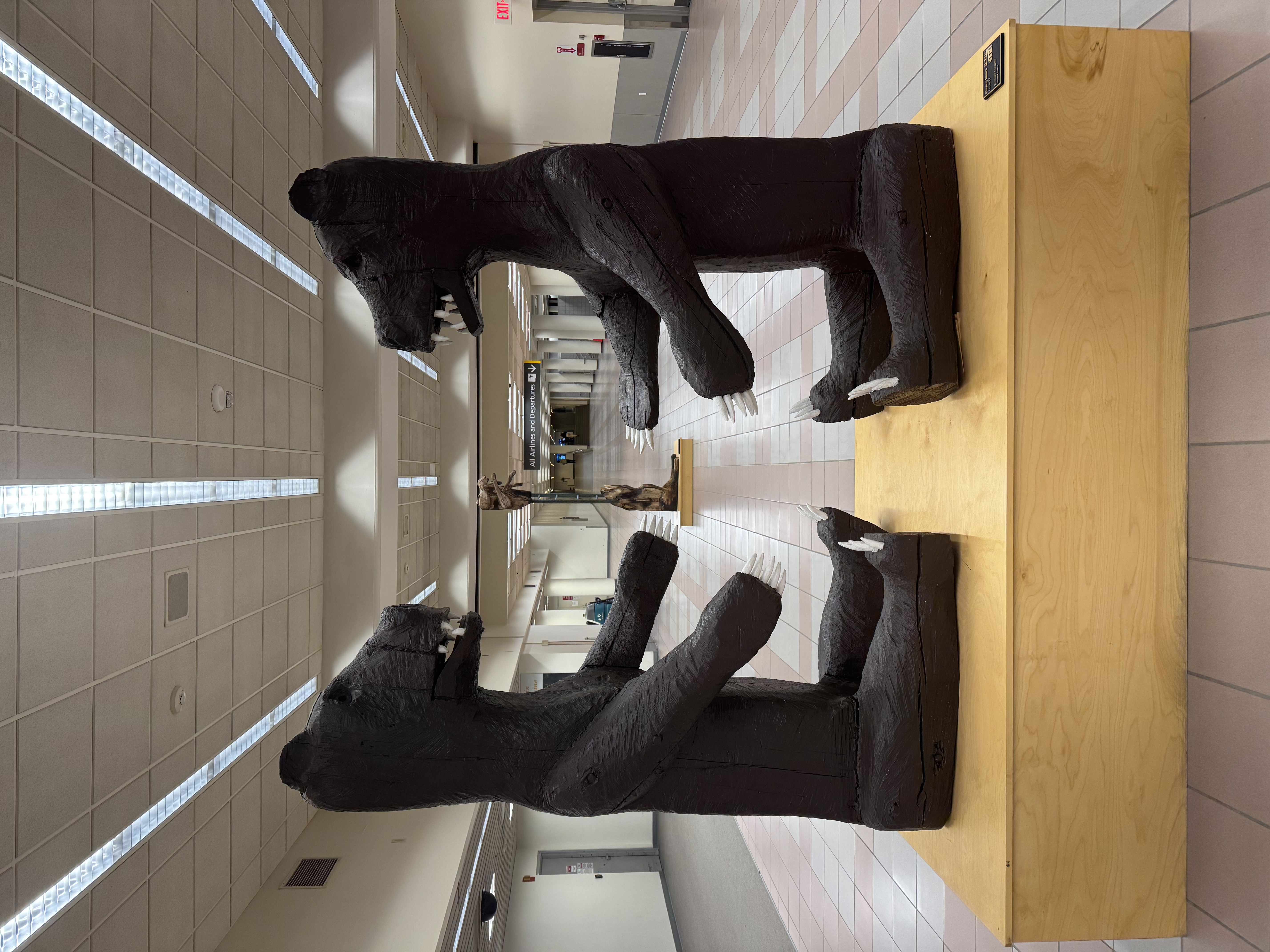 Bear Art